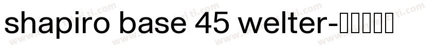 shapiro base 45 welter字体转换